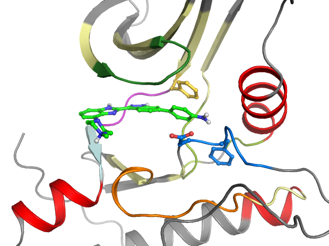 The orthosteric binding pocket