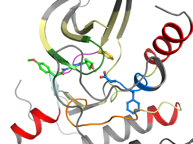 The orthosteric binding pocket