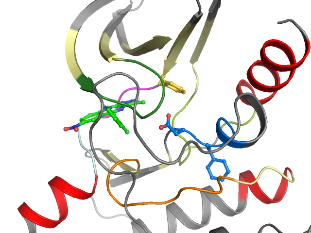 The orthosteric binding pocket