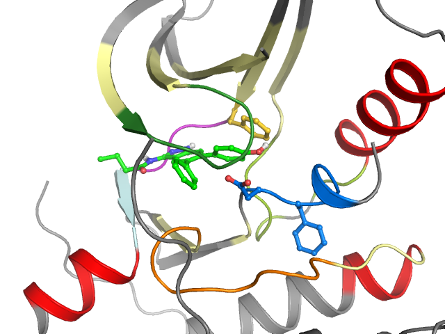 The orthosteric binding pocket