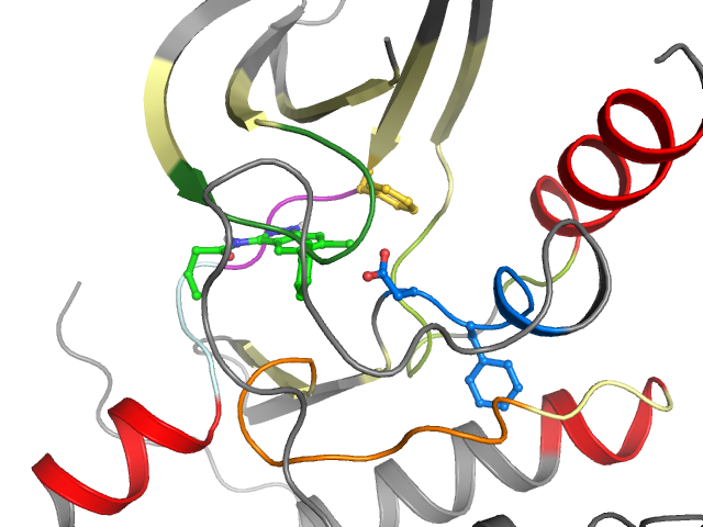 The orthosteric binding pocket