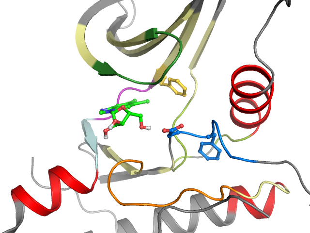 The orthosteric binding pocket
