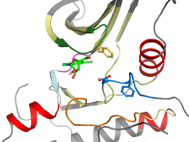 The orthosteric binding pocket