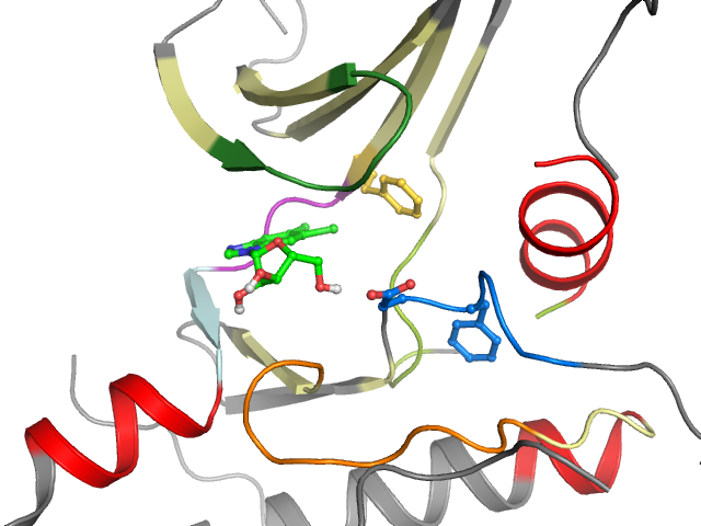 The orthosteric binding pocket