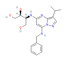 2D structure of the orthosteric ligand