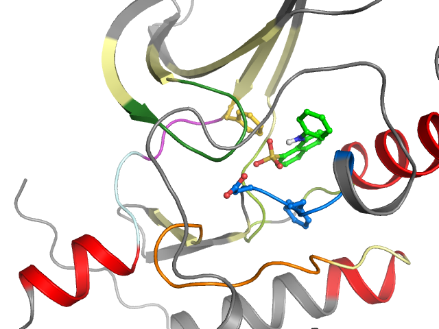 The orthosteric binding pocket