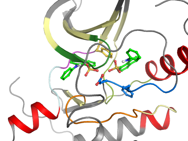 The orthosteric binding pocket