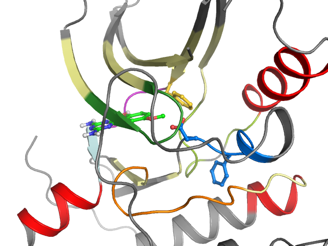 The orthosteric binding pocket