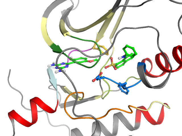 The orthosteric binding pocket