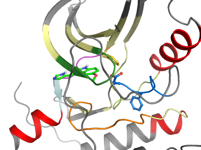 The orthosteric binding pocket