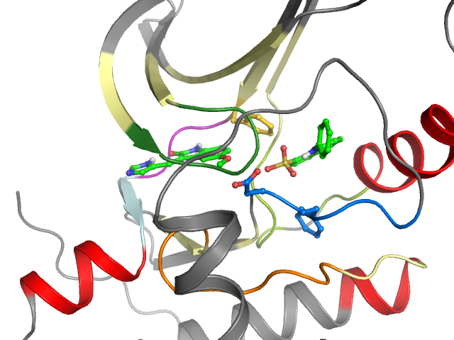 The orthosteric binding pocket