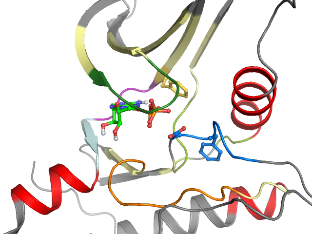 The orthosteric binding pocket
