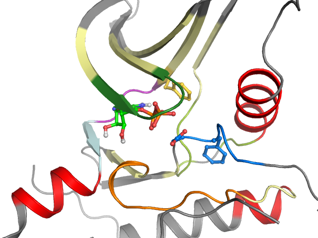 The orthosteric binding pocket