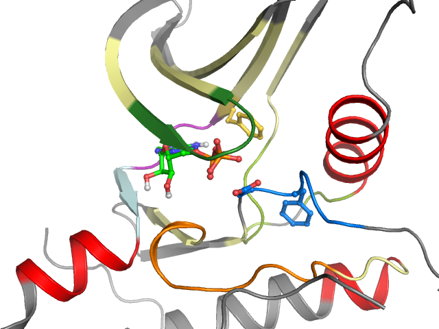 The orthosteric binding pocket