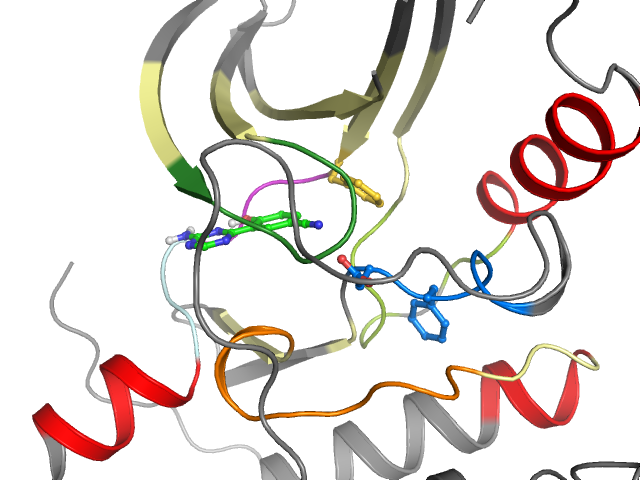 The orthosteric binding pocket