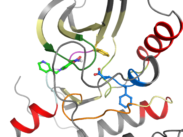 The orthosteric binding pocket