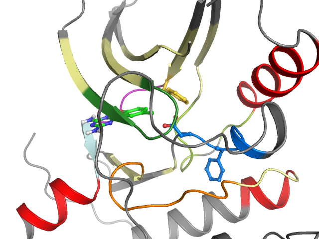 The orthosteric binding pocket