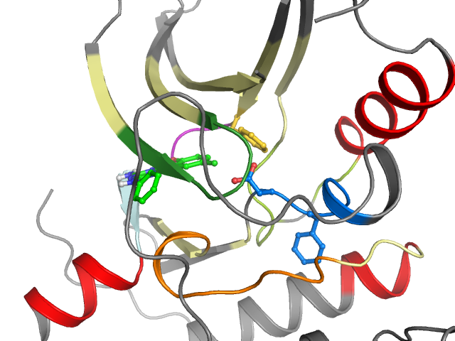The orthosteric binding pocket