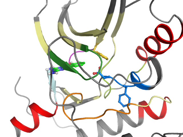 The orthosteric binding pocket