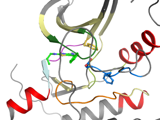 The orthosteric binding pocket