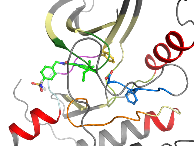 The orthosteric binding pocket