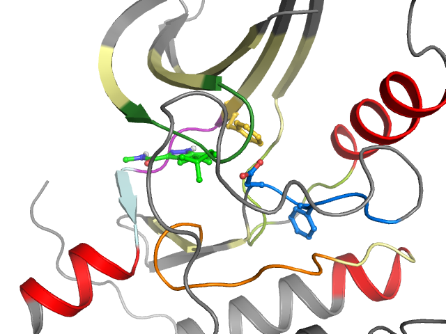 The orthosteric binding pocket