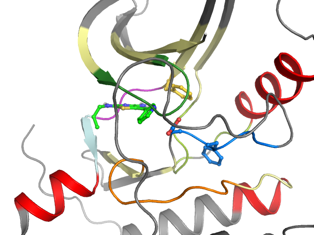 The orthosteric binding pocket