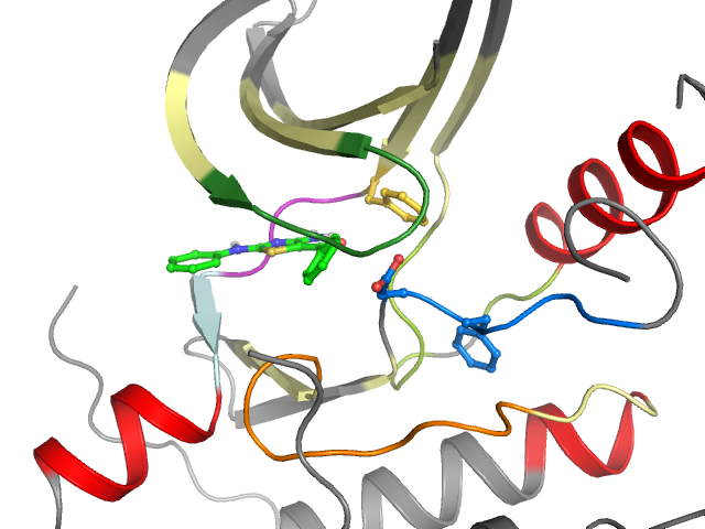 The orthosteric binding pocket