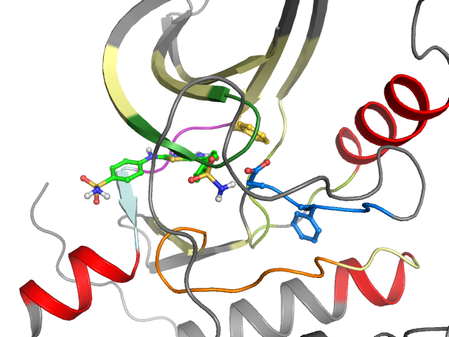 The orthosteric binding pocket