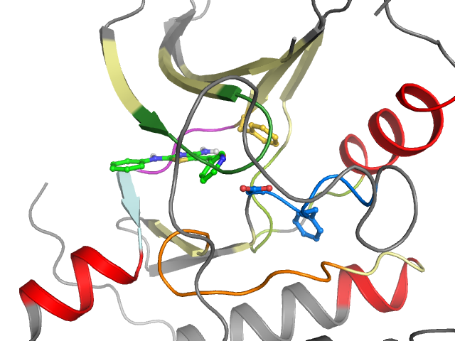 The orthosteric binding pocket