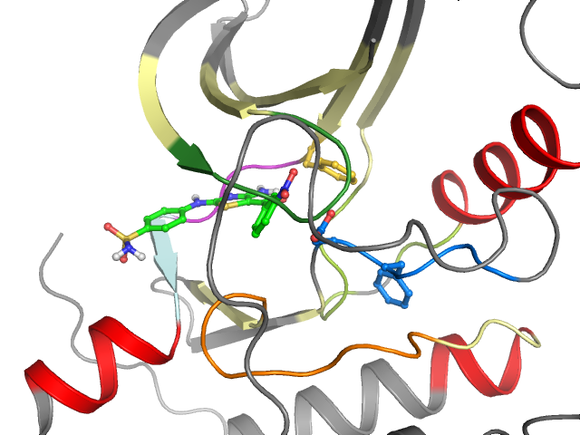 The orthosteric binding pocket