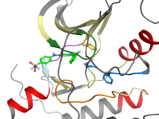 The orthosteric binding pocket