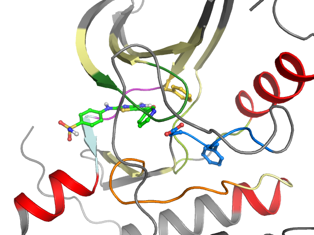 The orthosteric binding pocket