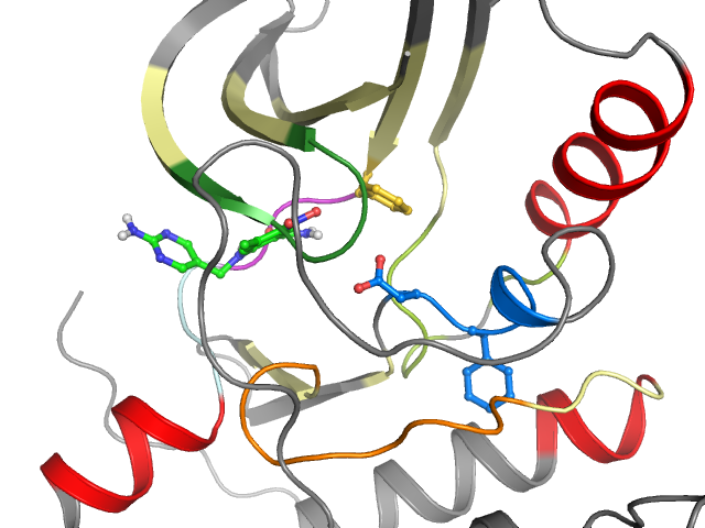 The orthosteric binding pocket