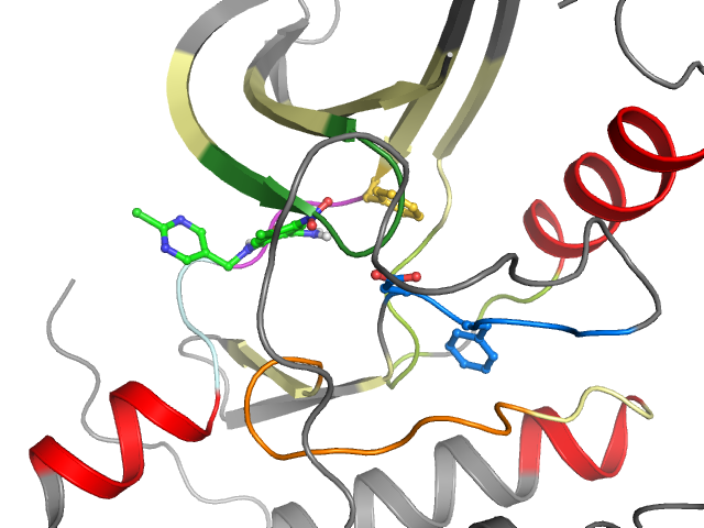 The orthosteric binding pocket