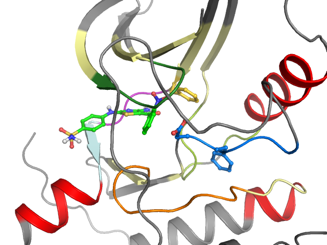 The orthosteric binding pocket