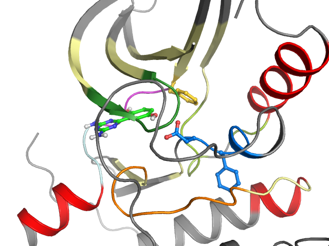 The orthosteric binding pocket