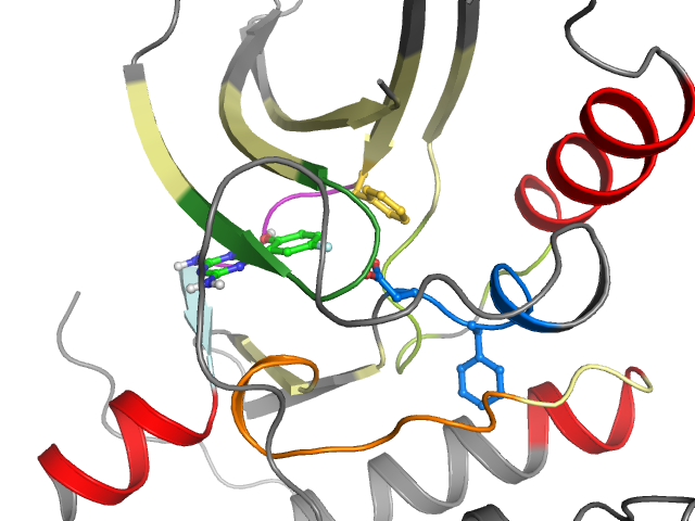 The orthosteric binding pocket
