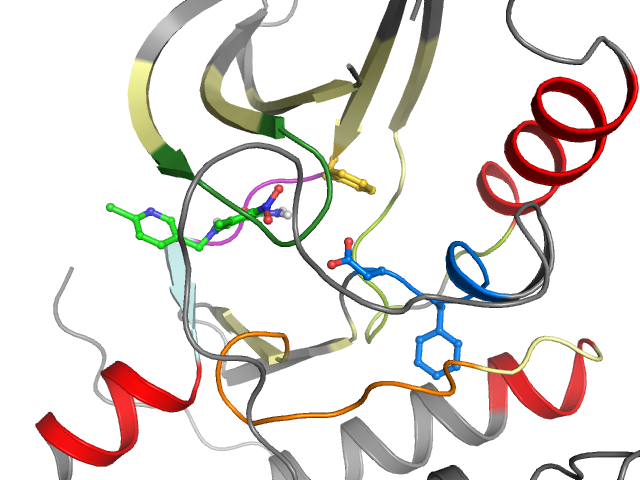 The orthosteric binding pocket