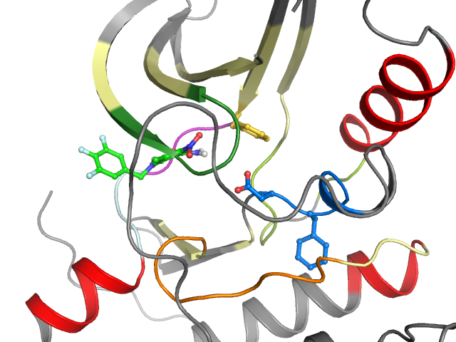 The orthosteric binding pocket