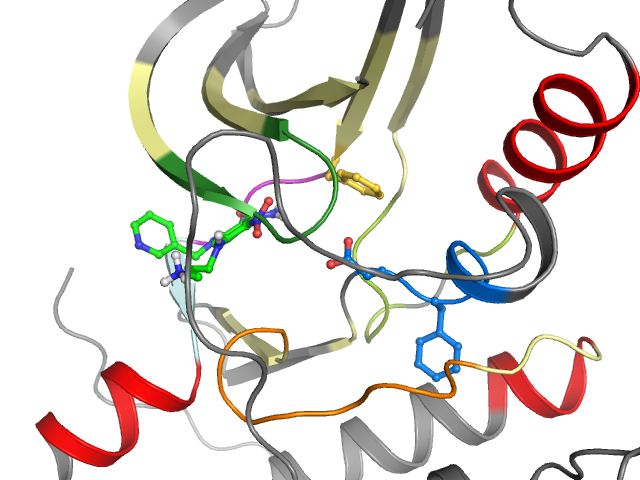 The orthosteric binding pocket