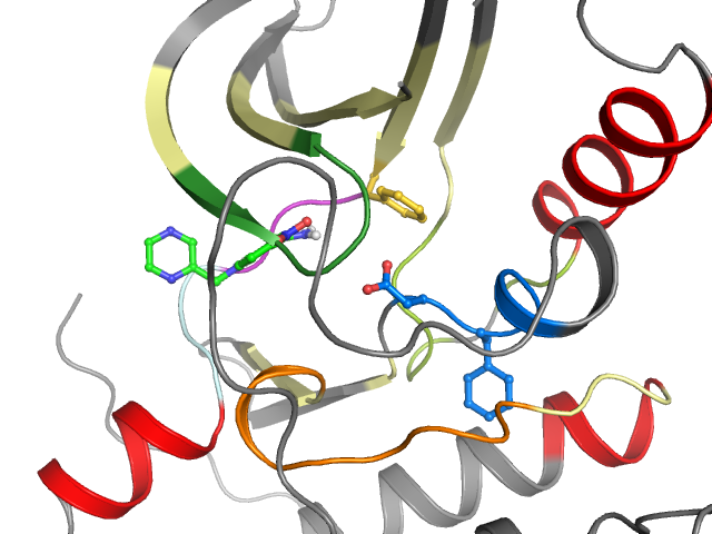 The orthosteric binding pocket