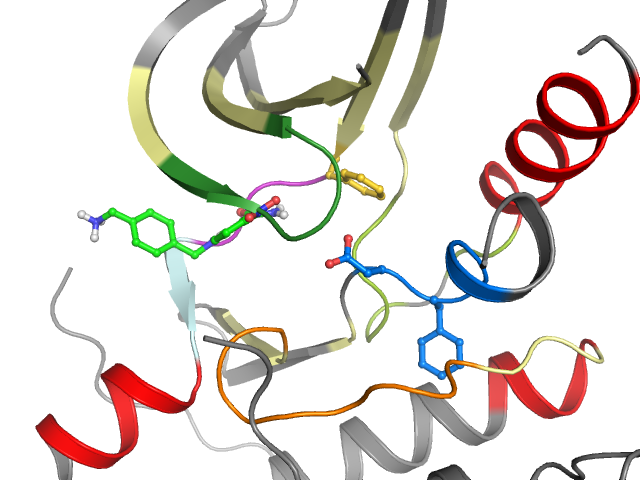 The orthosteric binding pocket
