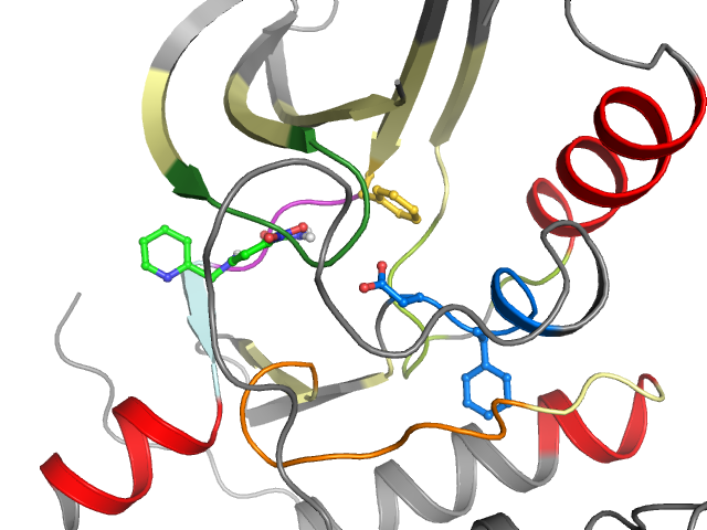 The orthosteric binding pocket