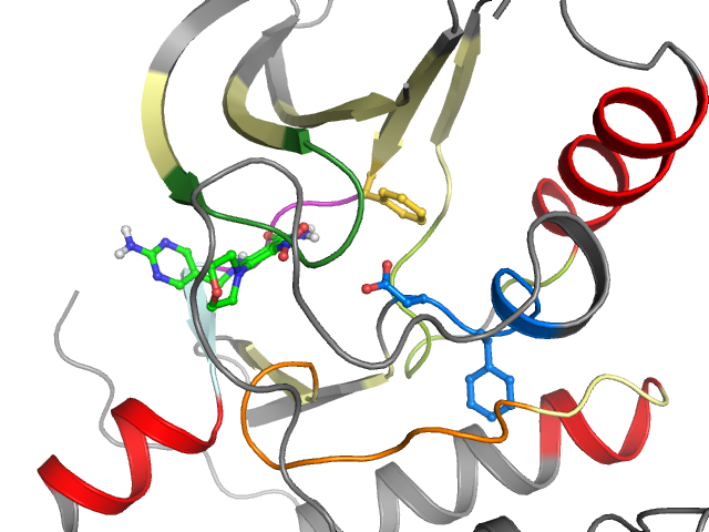 The orthosteric binding pocket