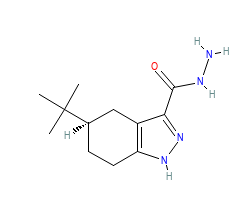 2D structure of the orthosteric ligand