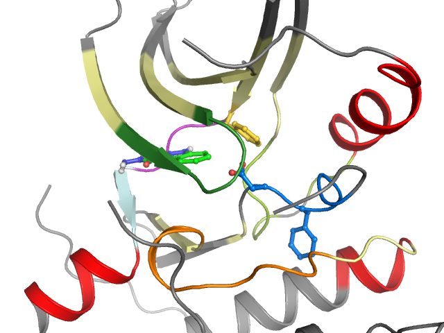 The orthosteric binding pocket