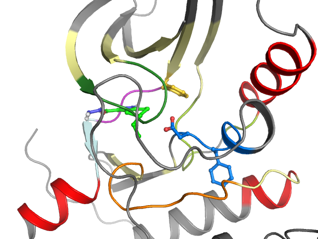 The orthosteric binding pocket