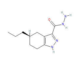 2D structure of the orthosteric ligand