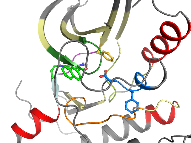 The orthosteric binding pocket